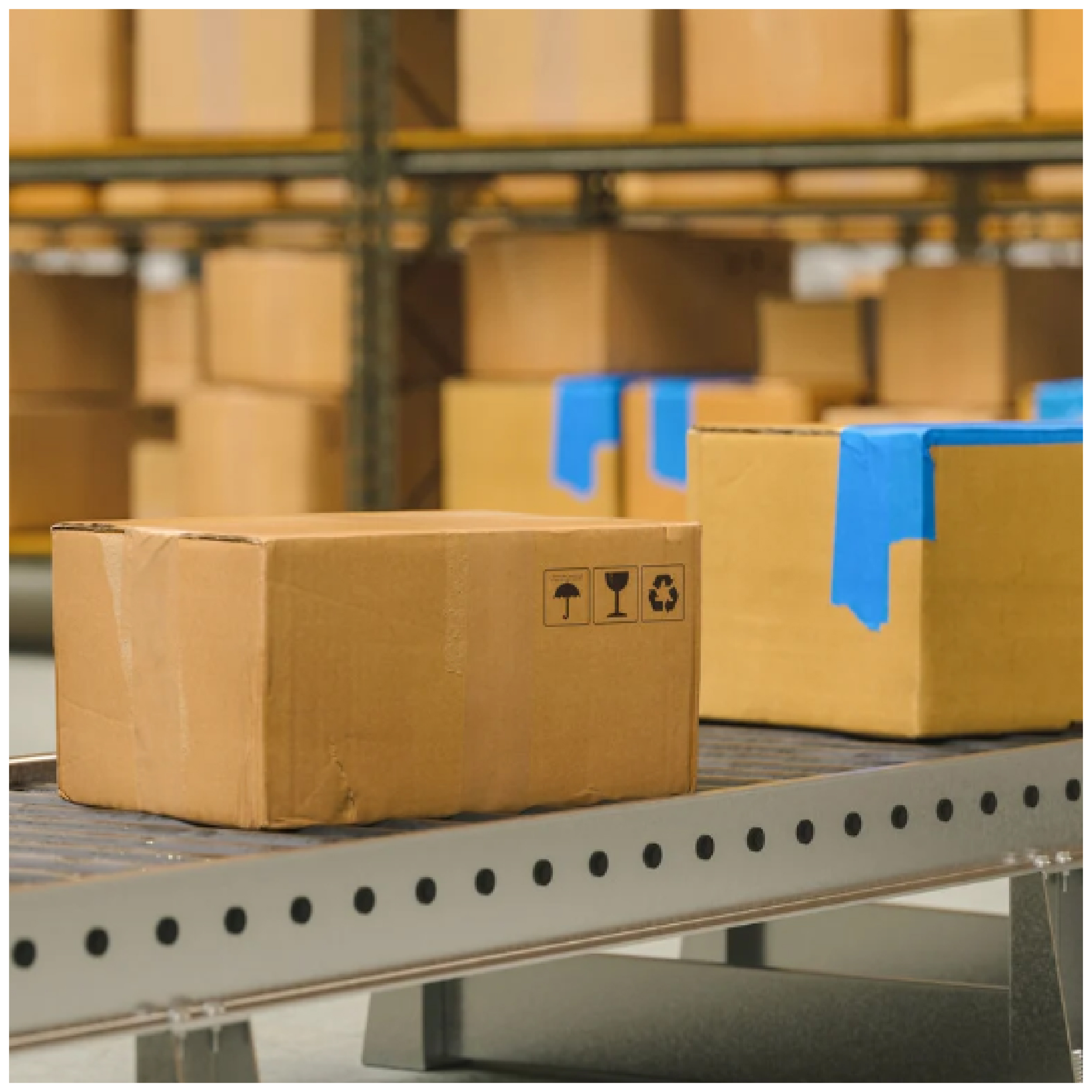 MT-CH1-Image-Print-09